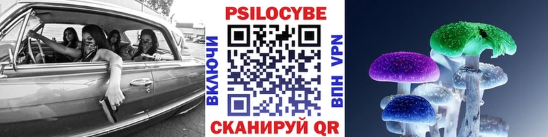 хочу Олёкминск Псилоцибиновые грибы Magic Shrooms
